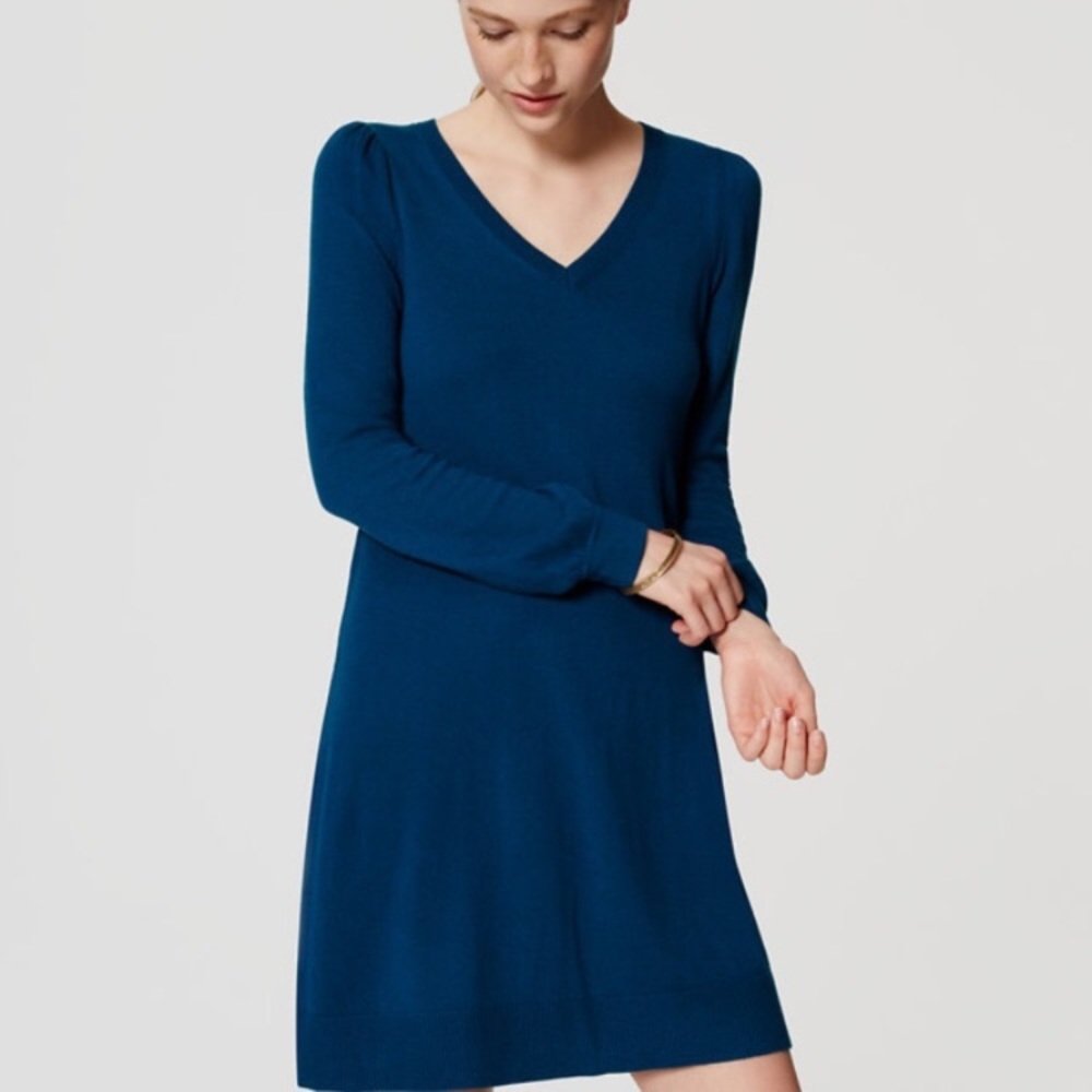 Cobalt Blue Loft Sweater Swing Dress